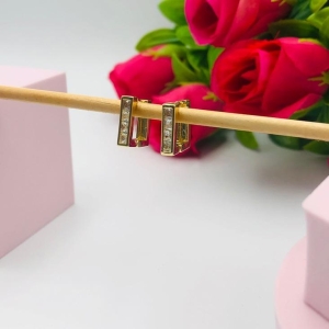 Brinco Argola Quadrada  Cravejada