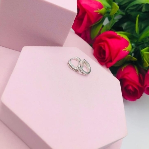 Brinco Argolinha Cravejado