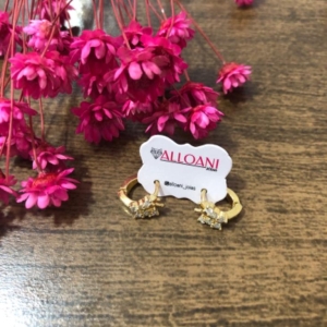 Brinco argolinha de click com borboleta