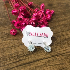 Brinco Círculo Cravejado