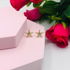 Brinco Estrela Cravejado