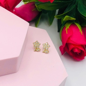 Brinco Flor Cravejada