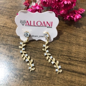 Brinco ganho cravejado