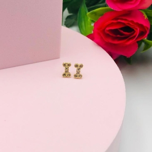 Brinco Ossinho Cravejado