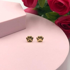 Brinco patinha de Pet