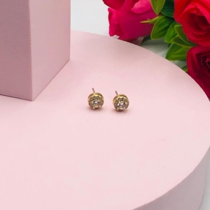 Brinco Redondo Cravejado