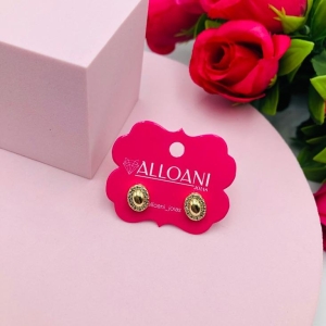 Brinco Redondo Cravejado