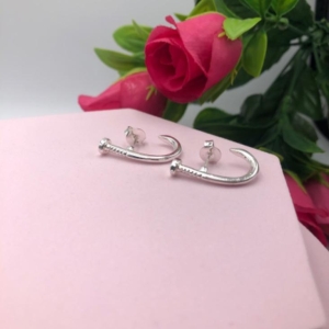 Brinco Ear Hook Prego