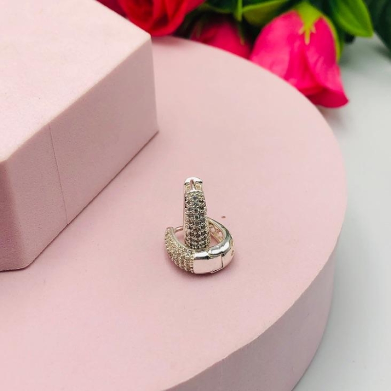 Brinco Argola Cravejada