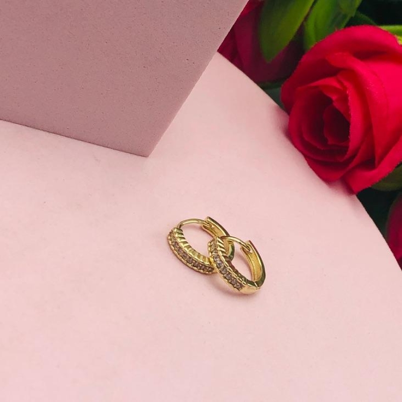 Brinco Argolinha Cravejada