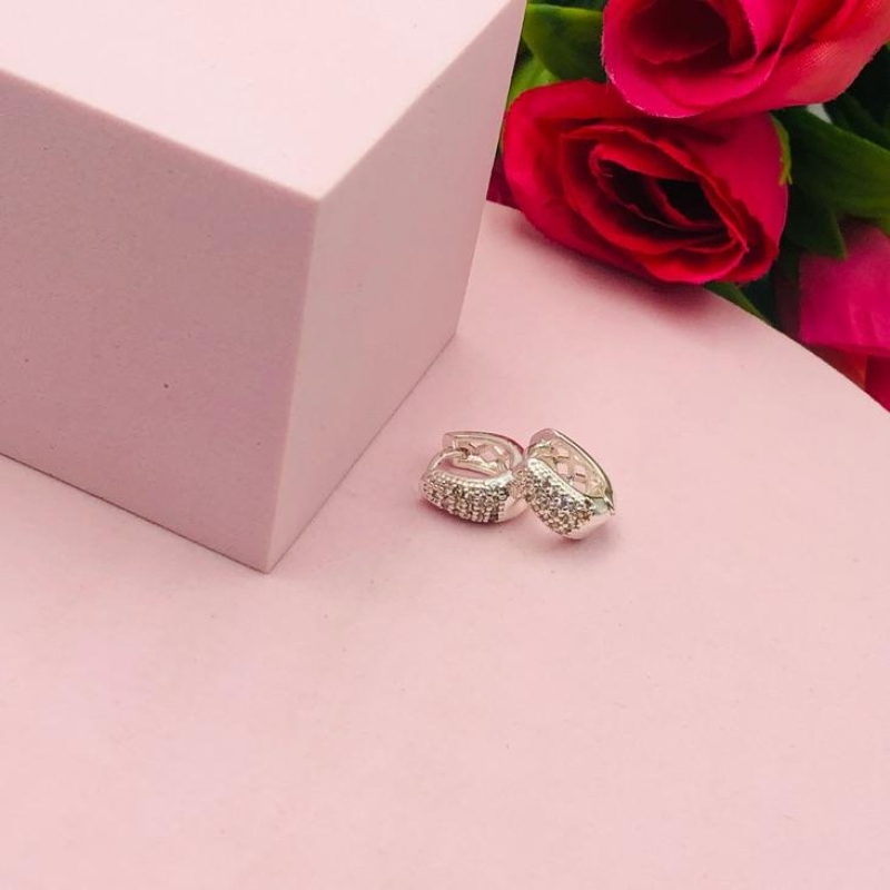 Brinco Argolinha Cravejado