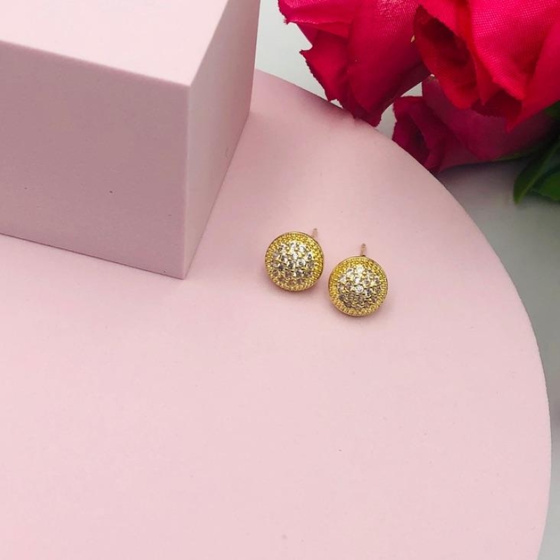 Brinco Circulo Cravejado