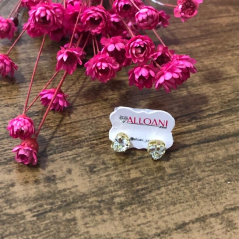 Brinco Ponto de Luz Coração