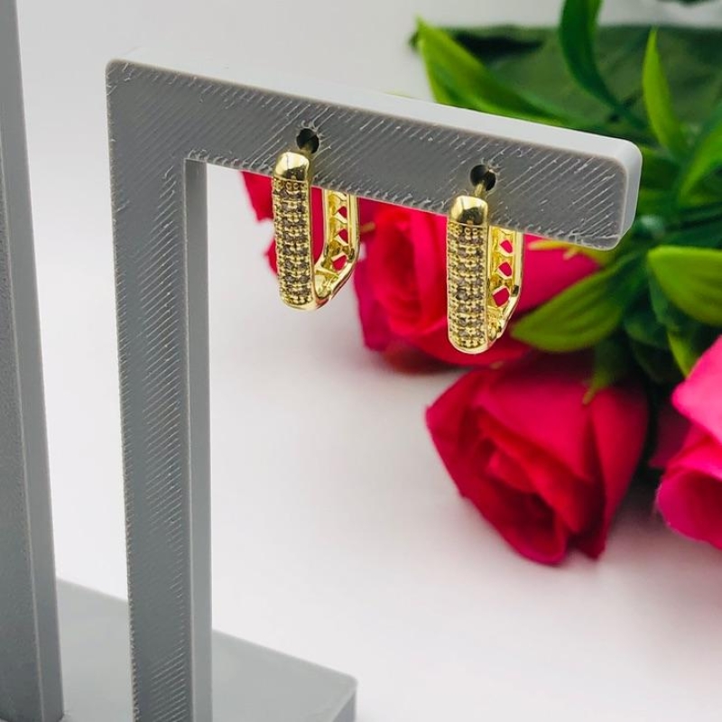 Brinco Argola Cravejada