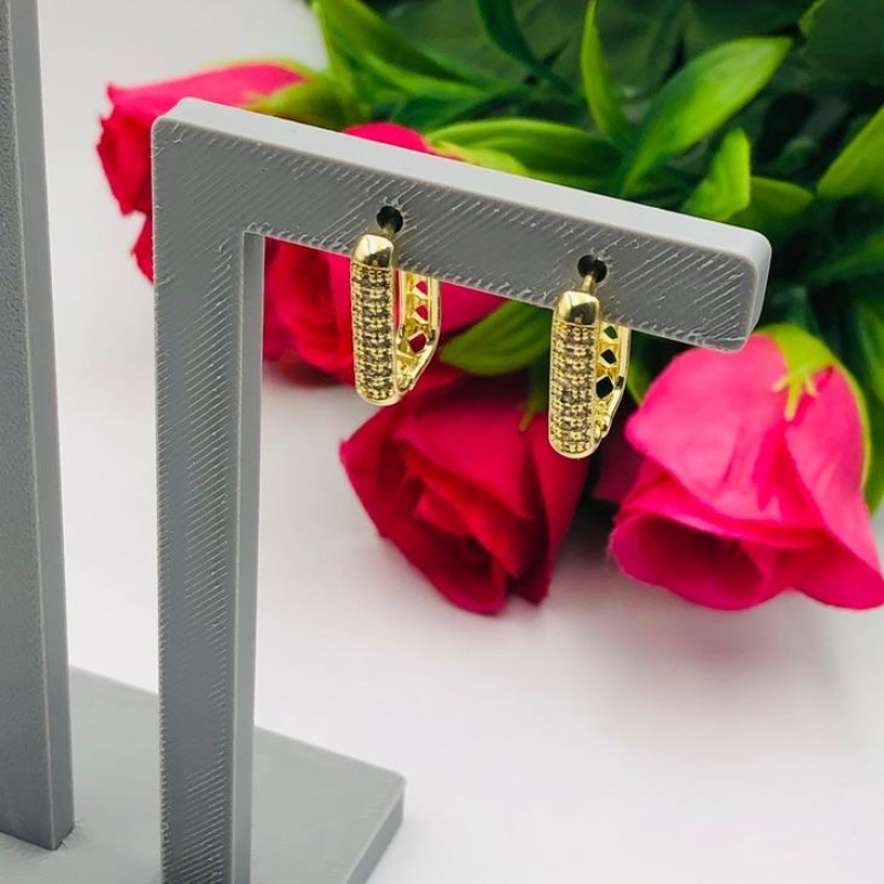 Brinco Argola Cravejada