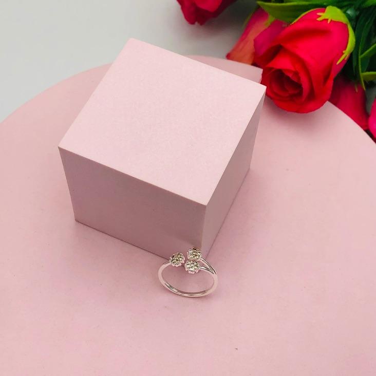 Anel Regulável com Três Flor Cravejado N 19