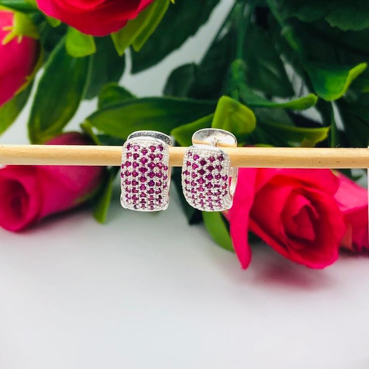 Brinco Argola Cravejada