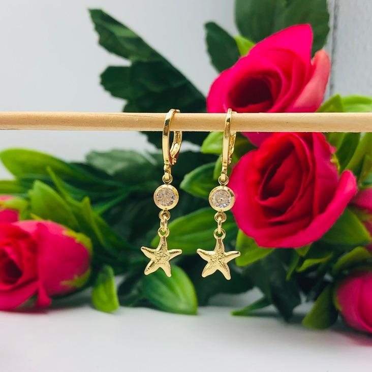 Brinco Argolinha com Ponto de Luz e Estrela