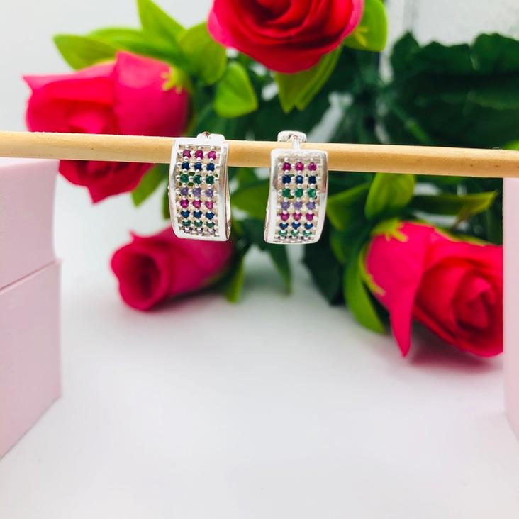 Brinco Argolinha Cravejada