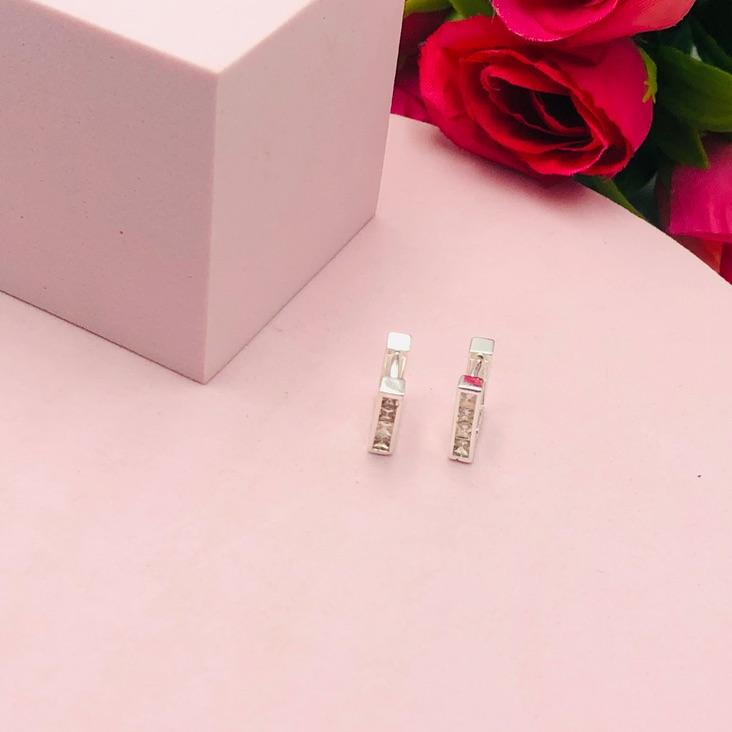 Brinco Argolinha Cravejado