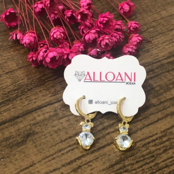 Brinco Argolinha de Click Pingente Pet