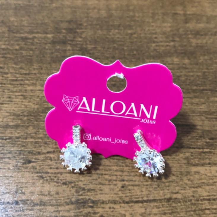 Brinco Com Círculo Cravejado