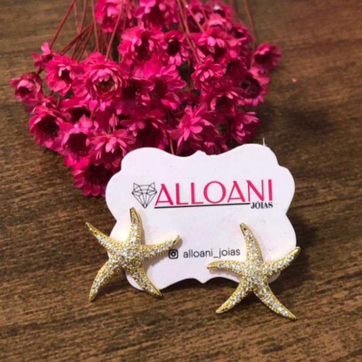 Brinco Estrela Cravejado