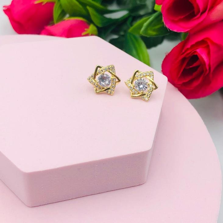 Brinco Estrela de Davi Cravejado