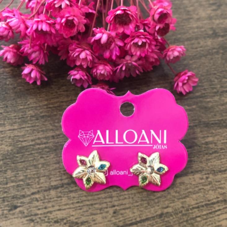 Brinco Flor Colorida