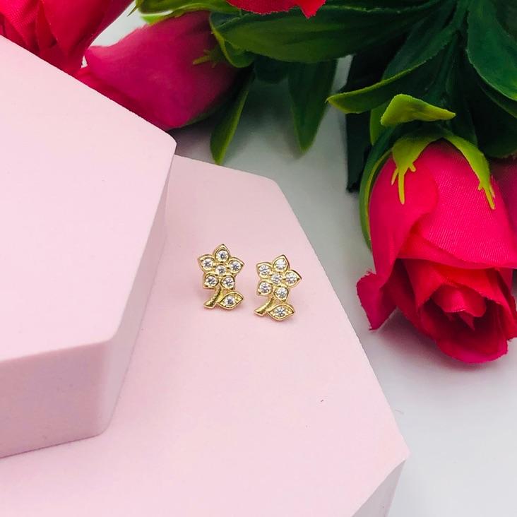 Brinco Flor Cravejada