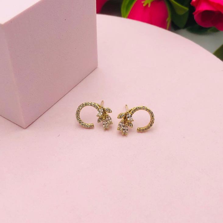 Brinco Meio Círculo Cravejado e Folhas com Pedras