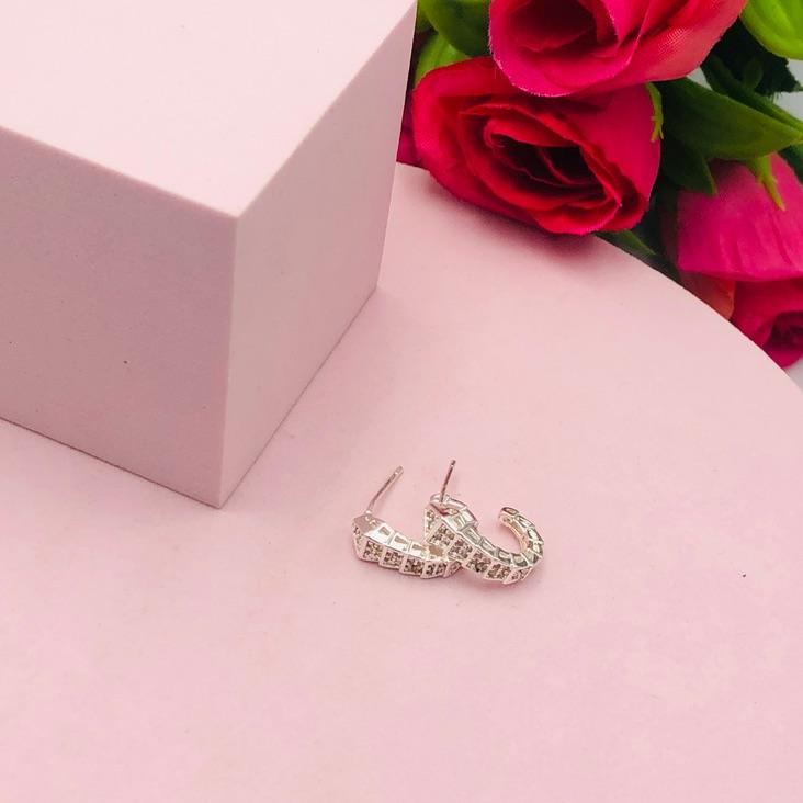 Brinco Argola Cobra Cravejado