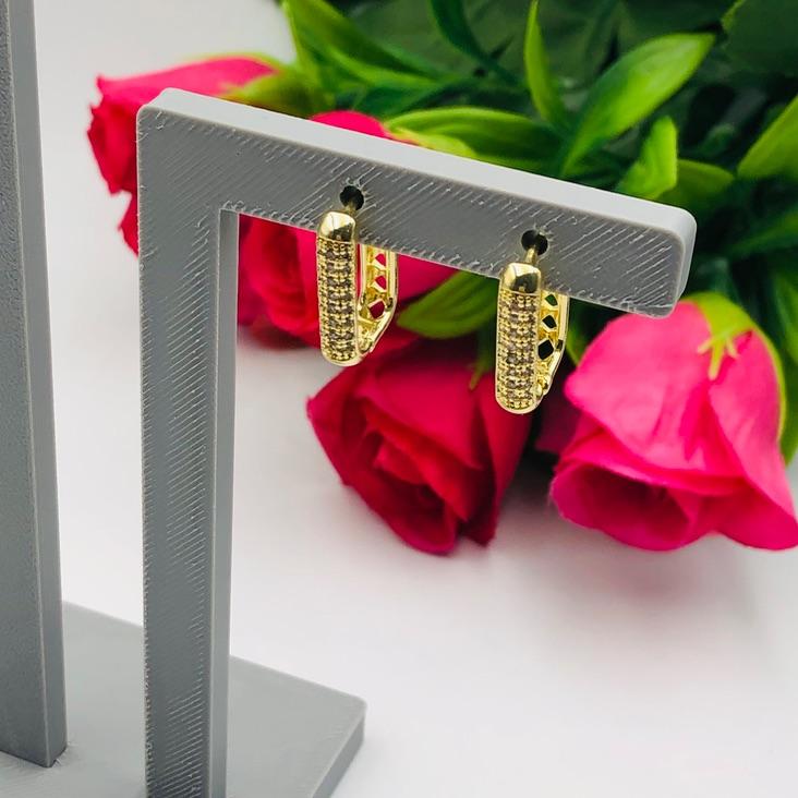 Brinco Argola Cravejada