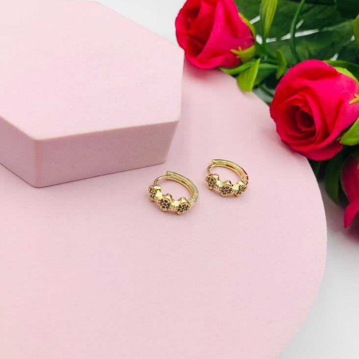 Brinco Argola Cravejado